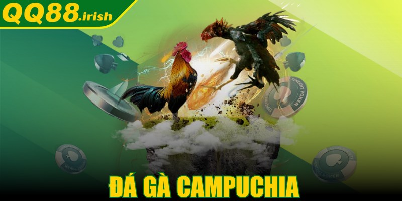 Đá gà Campuchia - Trò chơi giải trí dân gian đặc sắc