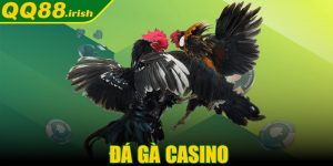 Đá gà casino - Cá cược thể thao giải trí vô cùng hấp dẫn