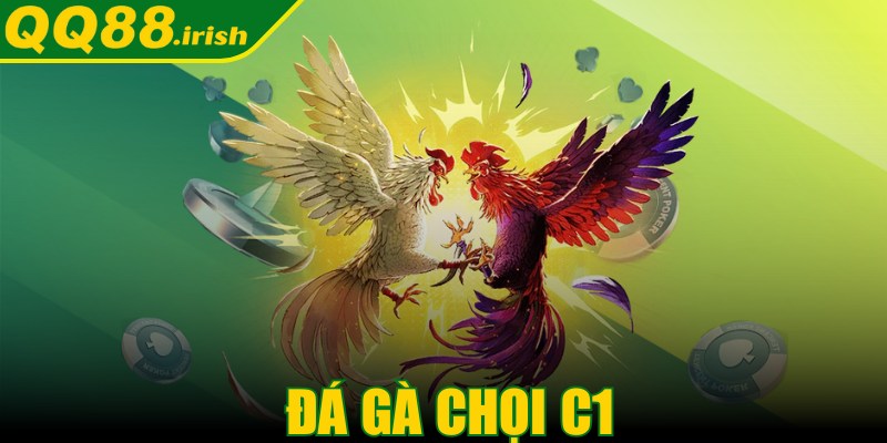 Đá gà chọi C1 - “Champions League” của giới kê thủ